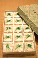 宇治の里箱詰め