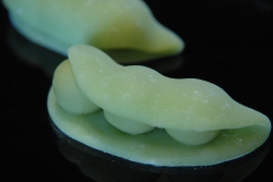 ずんだ餅-御菓子司きくもとや