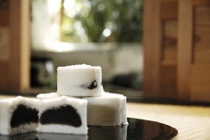 ひごのらくがんimg