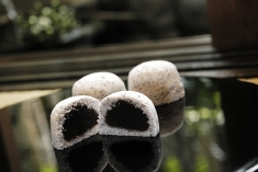 ひごのらくがん春日野