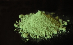 抹茶-きくもとや