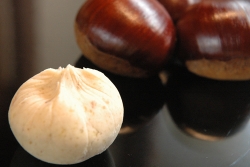 きくもとやの栗しぼり